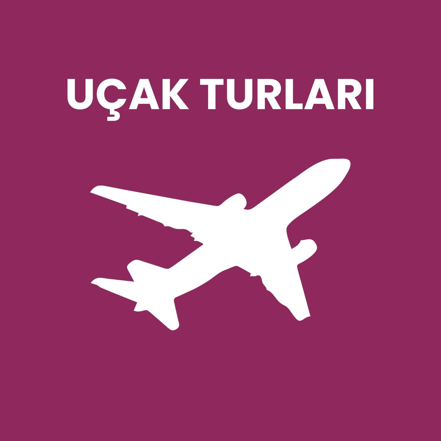 Uçak Turları